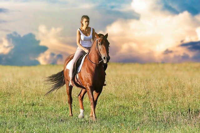नमस्कार दोस्तों आज हम आपको बताएंगे घोड़े की सवारी का सपना देखना कैसा होता है। What is it like to dream of riding a horse?